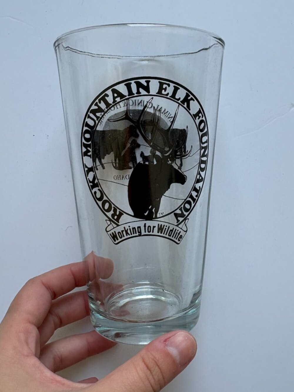 Rocky Moutain Elk Foundation Glass